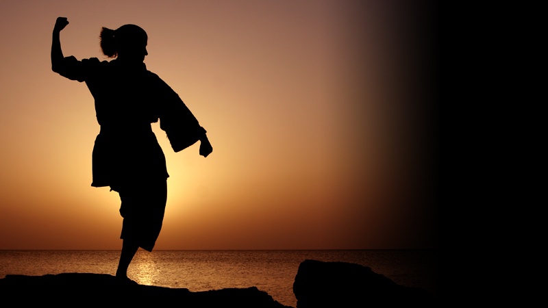 Karate Dojo Nakayama in Krefeld - Kampfsport - Anf�ngerkurse - Anf�ngertraining - Karate-Training - Kindertraining