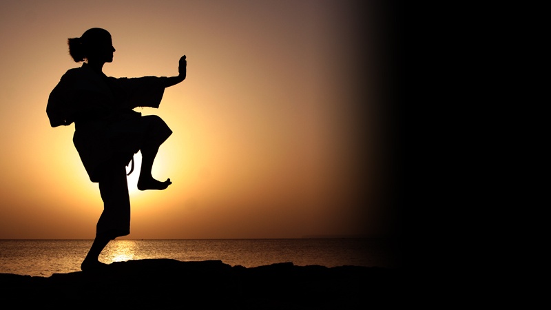 Karate Dojo Nakayama in Krefeld - Kampfsport - Anf�ngerkurse - Anf�ngertraining - Karate-Training - Kindertraining